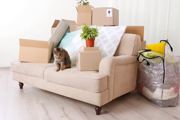 Al momento stai visualizzando Come trasportare un divano: Suggerimenti e Procedure pratiche